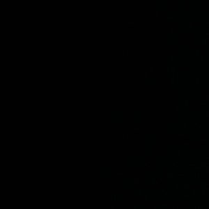 Meet your Posher, Monique